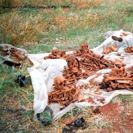 Окресности 35 Береговой Батареи 