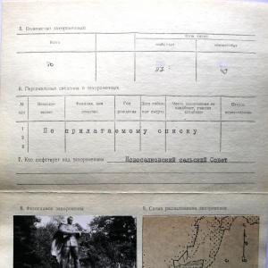 Братская могила на кладбище с. Новоселки Вышгородского района