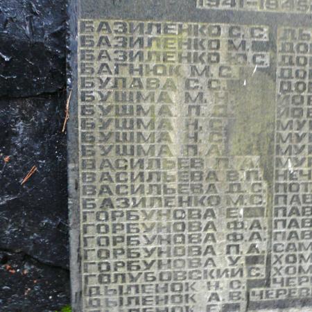 Братская могила в с. Ново-Шепеличи Чернобыльского района 