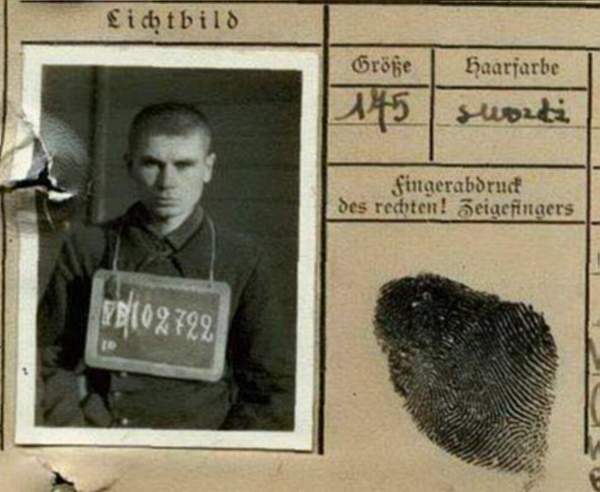 Жердев Петр Николаевич