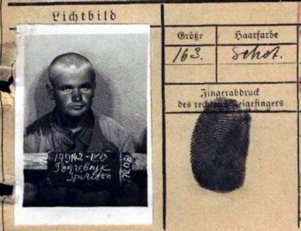 Погребняк Спиридон Степанович