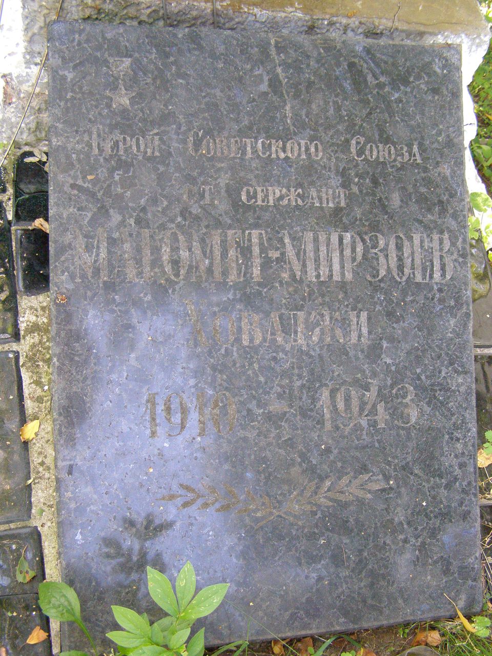 с. Левковичи Черниговского района Черниговской области, Братская могила Воинов ВОВ