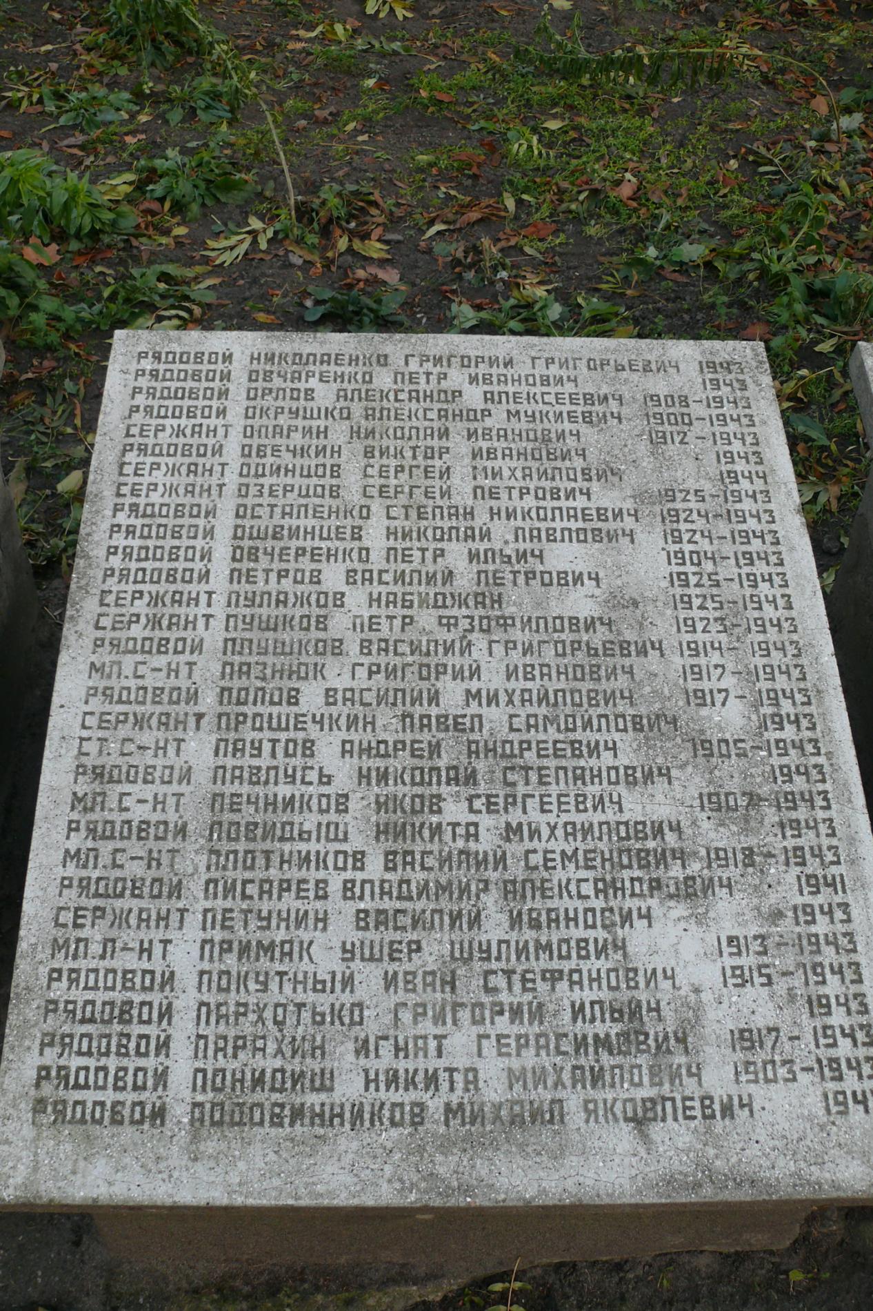 с. Чоповичи, братское воинское захоронение
