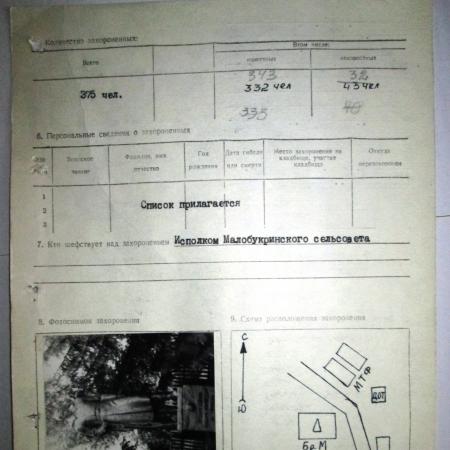 Братская могила в с. Ромашки Мироновского района