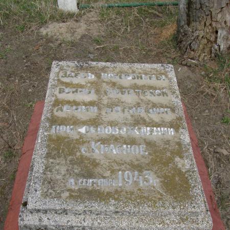 с. Красное Черниговского района Черниговской области, Братская могила Воинов ВОВ