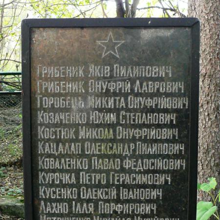 Памятник воинам-землякам в с. Трощин Каневского района