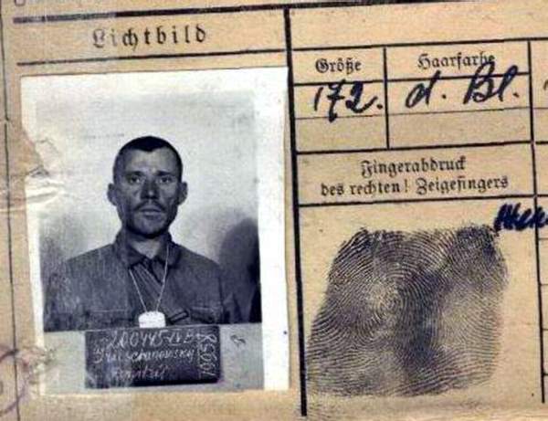 Гричановский Дмитрий Николаевич