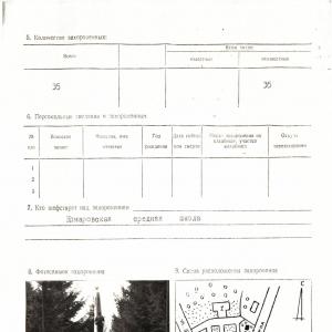 Братская могила в центре с. Комаровка Борзнянского района