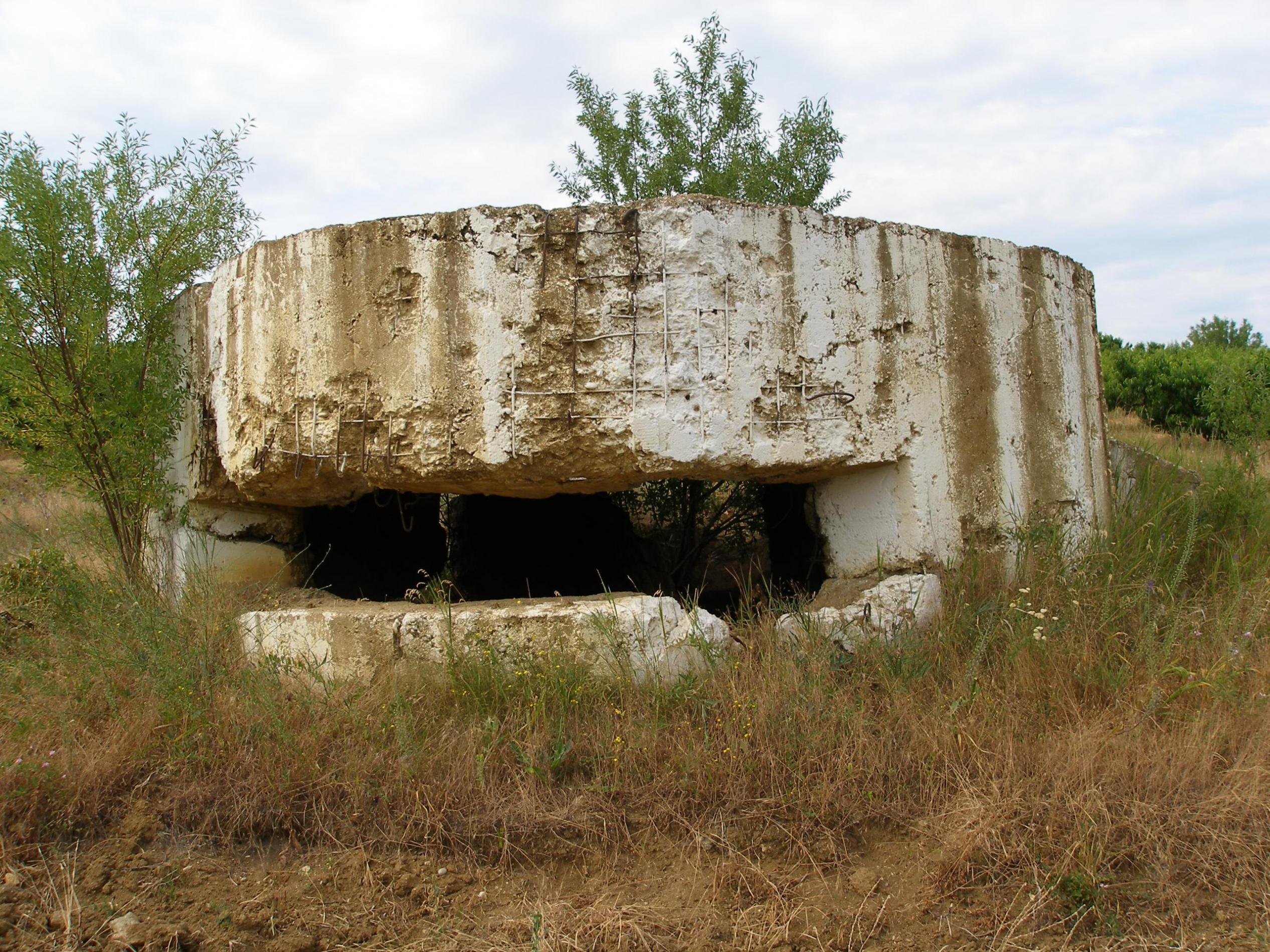 ДОТ № 2