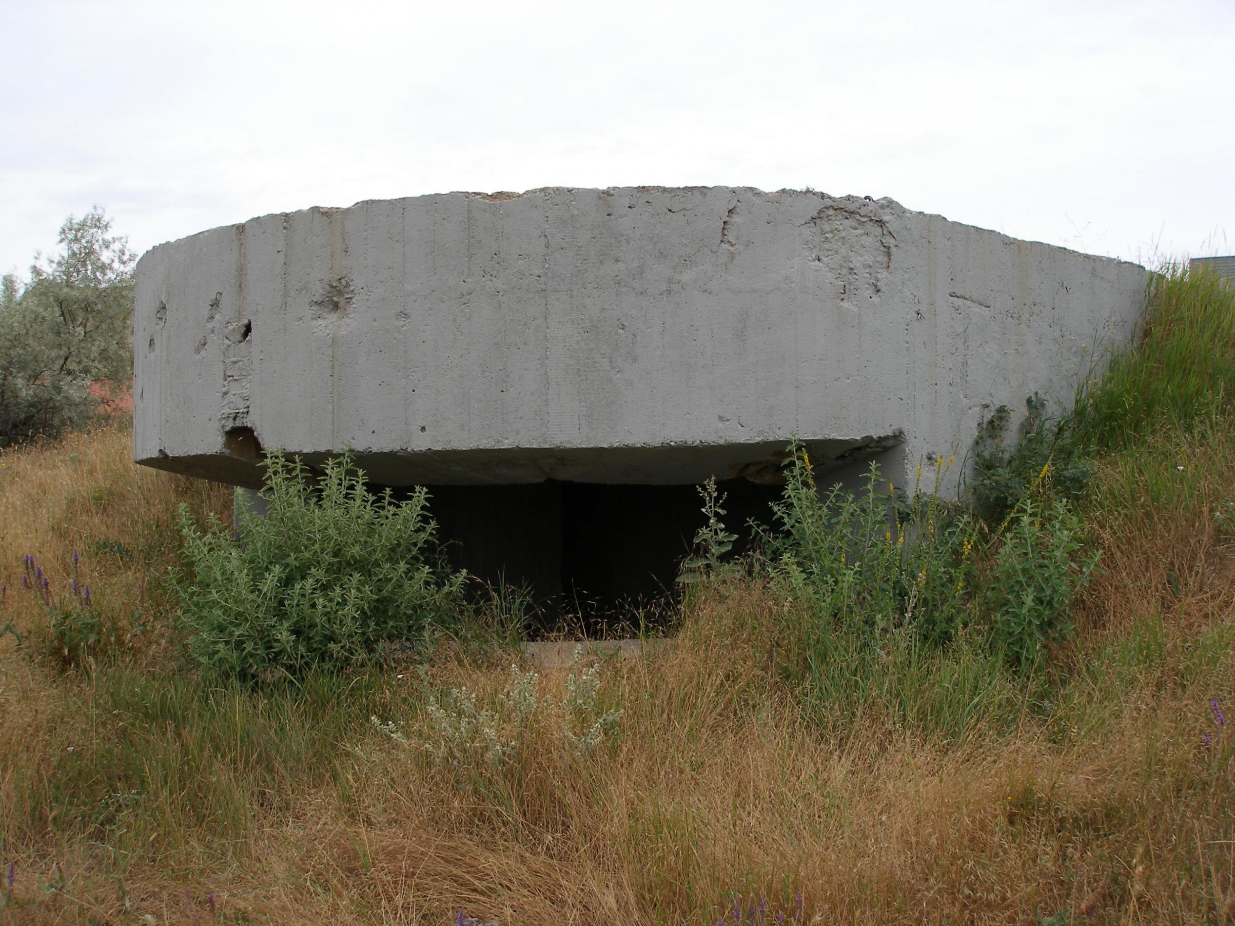 ДОТ №35