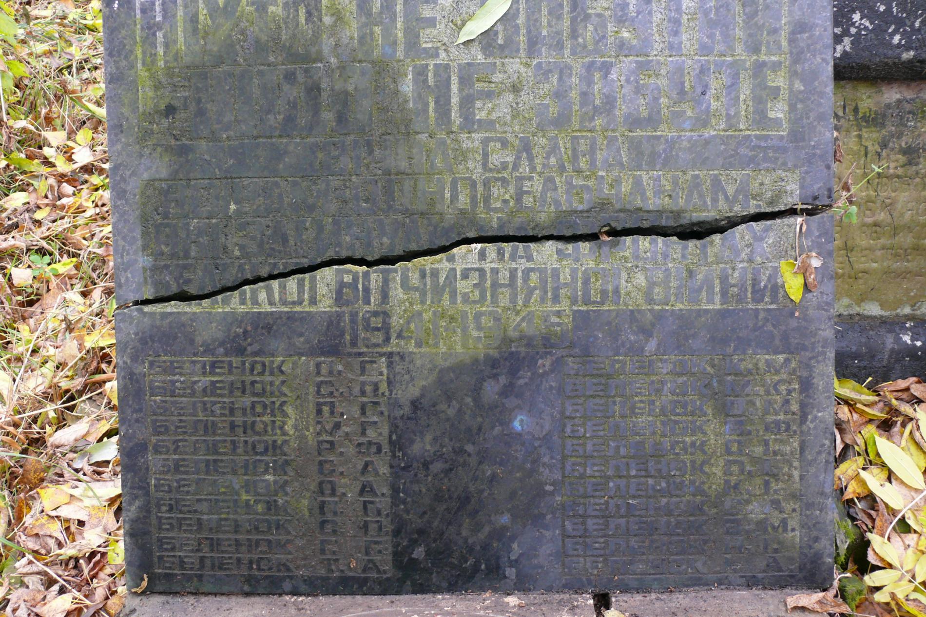 Братская могила и памятник воинам-односельчанам в с. Красно б. Чернобыльского района