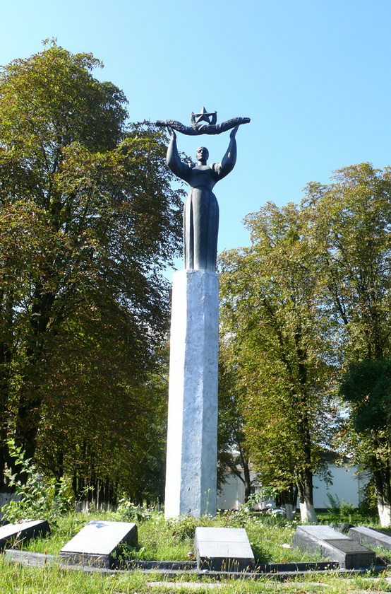 Васильковский район, с. Тростинка