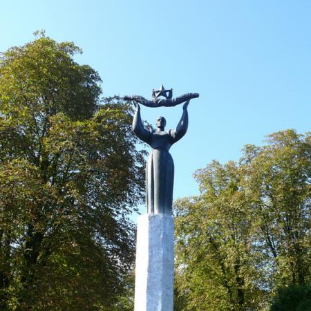 Васильковский район, с. Тростинка