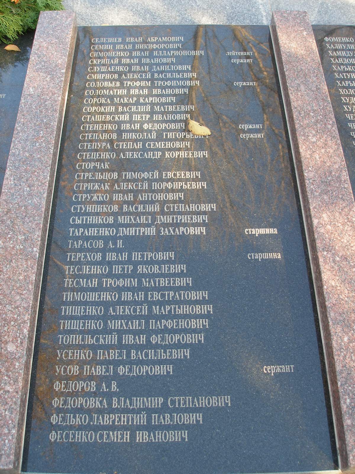 BZVas01