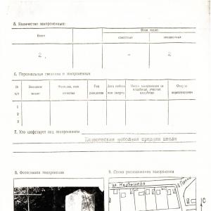 Братская могила на кладбище в с. Кинашевка Борзнянского района