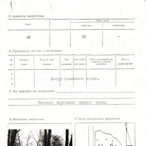 Братская могила на кладбище в с. Ядуты Борзнянского района