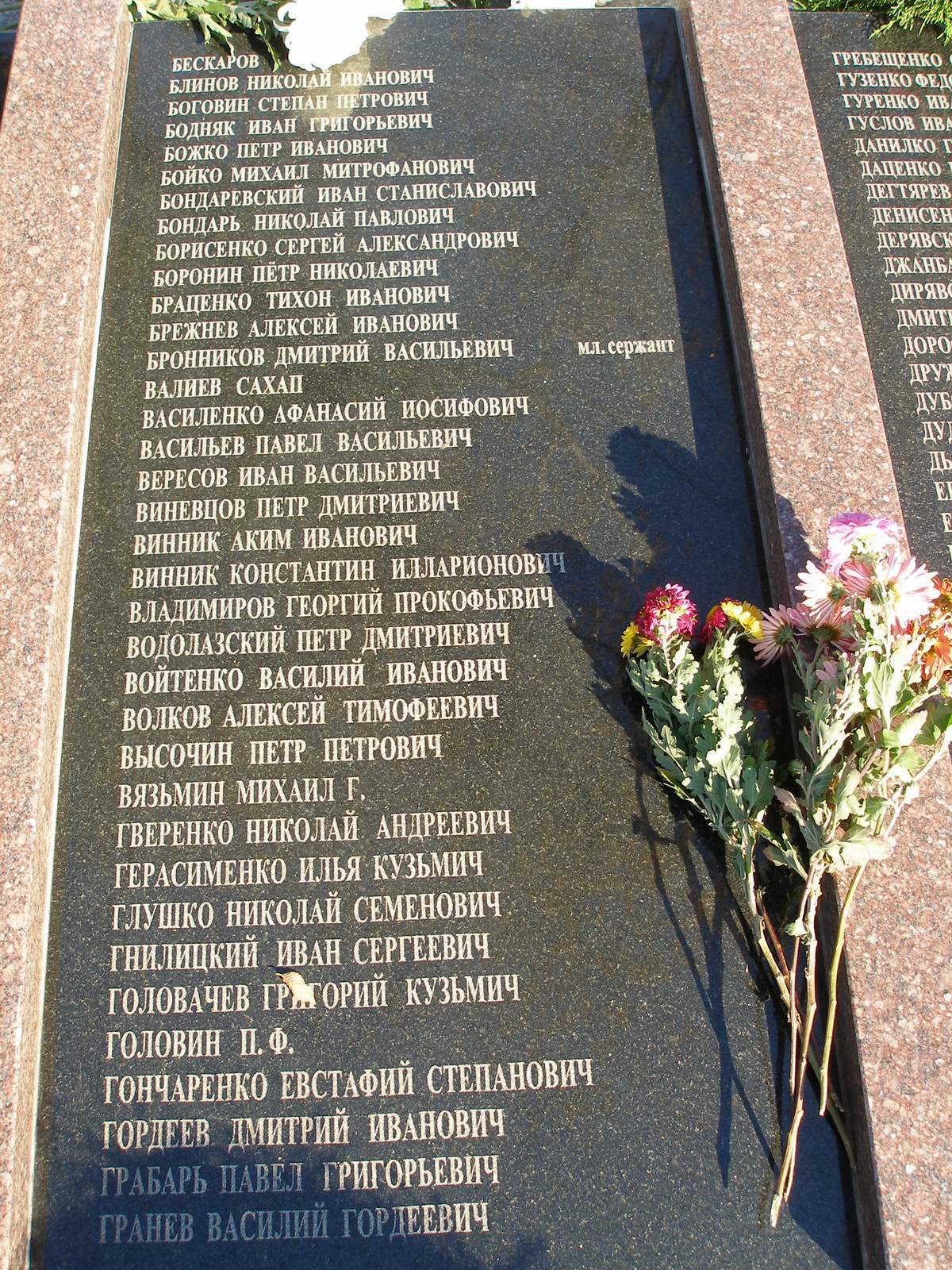 BZVas07