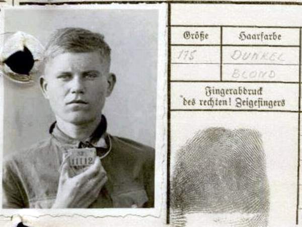 Елисеев Иван Харлампиевич