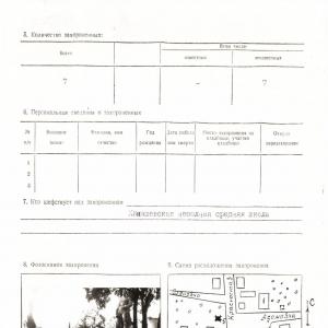 Братская могила у школы в с. Кинашевка Борзнянского района