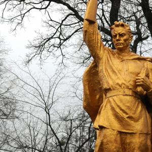 Братская могила в с. Дзвонковое Васильковского района