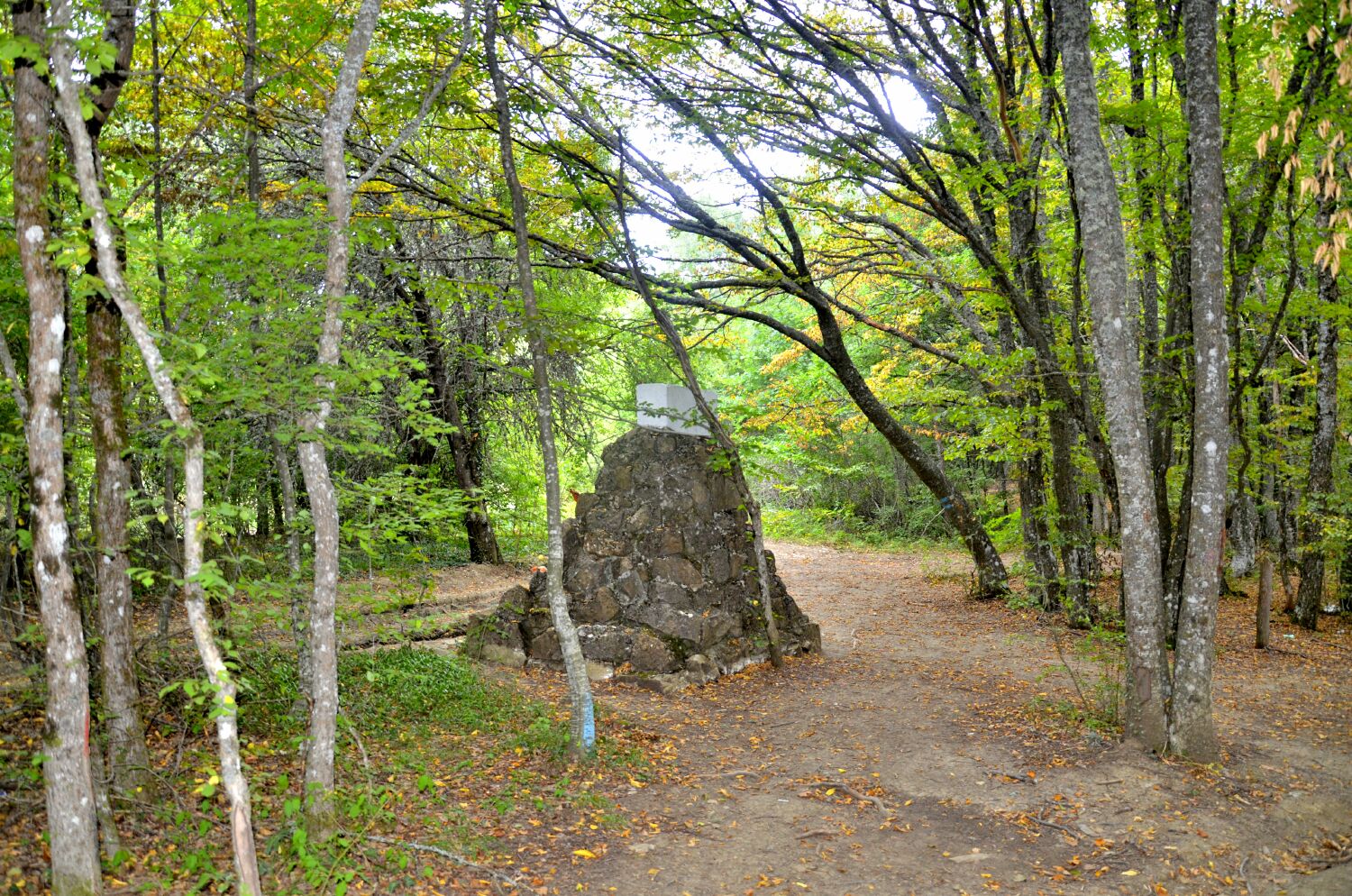Памятник партизанам