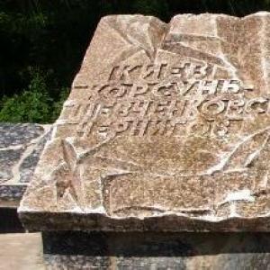 Братская могила в центре г. Борзна Черниговской обл.
