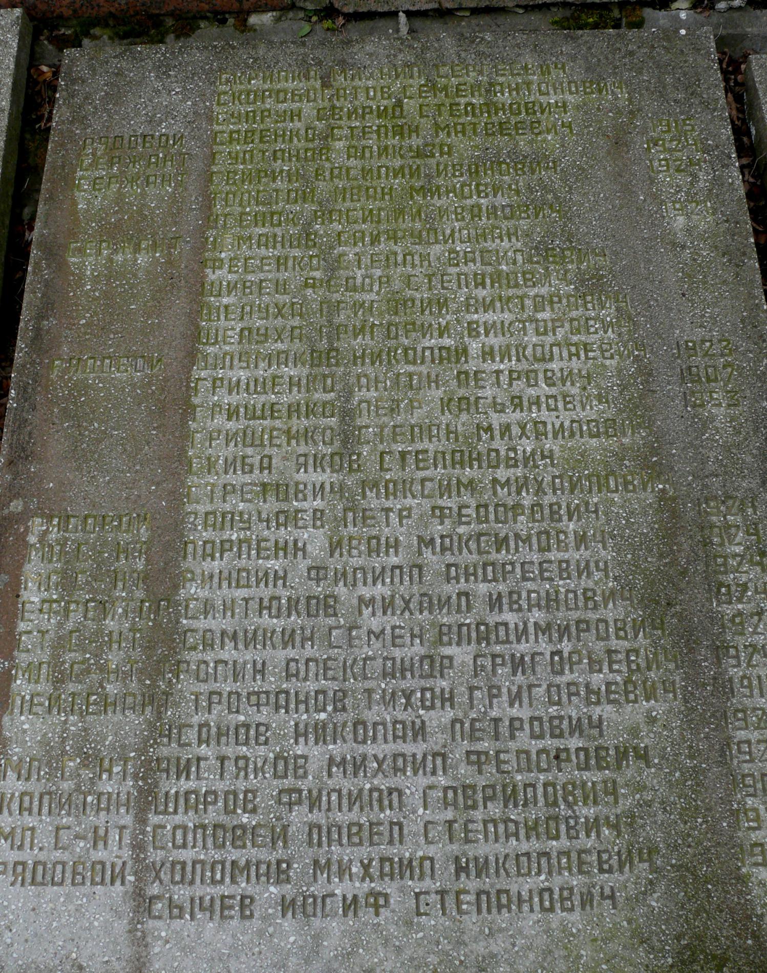братская могила в с. Мелени Коростенского района