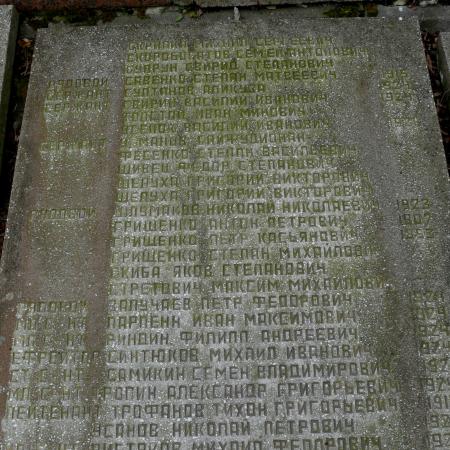 братская могила в с. Мелени Коростенского района