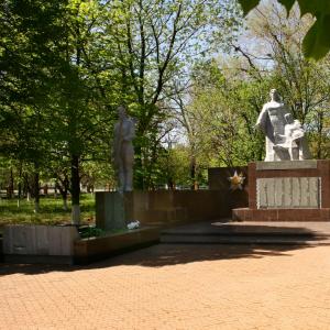 Новониколаевский район