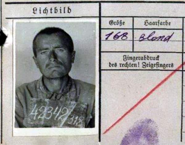 Добровольский Марк Калистратович