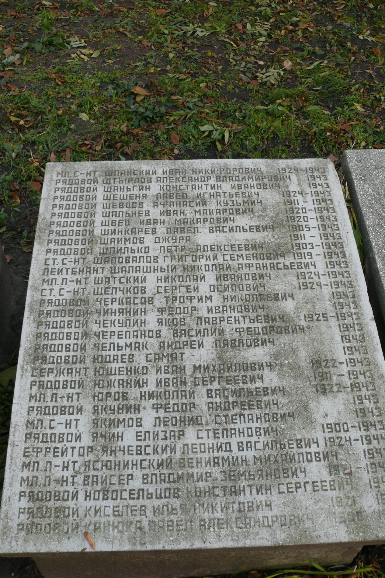 с. Чоповичи, братское воинское захоронение