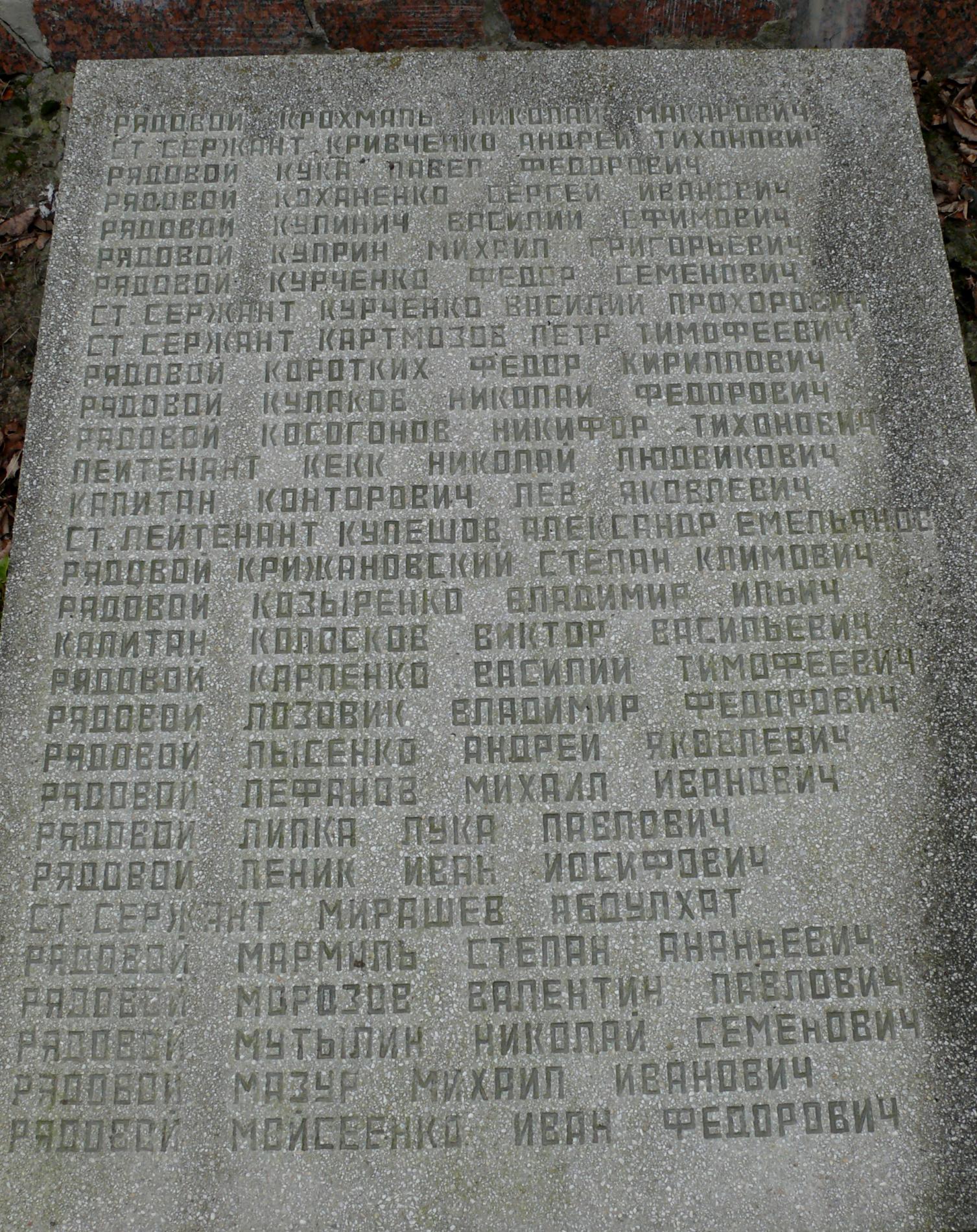 братская могила в с. Мелени Коростенского района