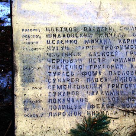 Братская могила в с. Дмитровка Фастовского района