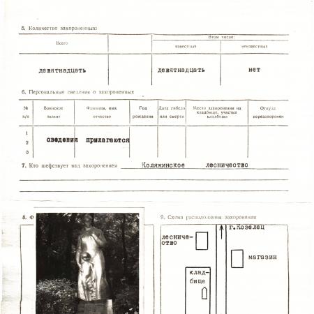 Братская могила на кладбище в с. Браница Бобровицкого района