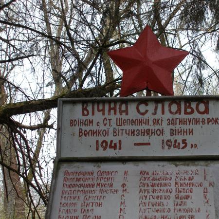с. Старые Шепеличи