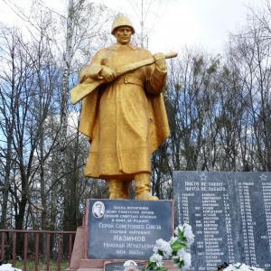 Вышгородский район