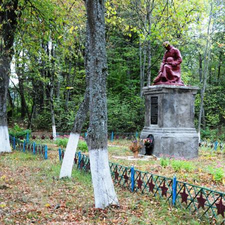 Братская могила в центральном парке с. Ушомир Коростенского района
