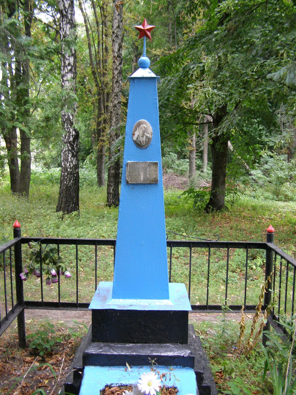 Могила рядового Николая Гришина в с. Кобыжча Бобровицкого района