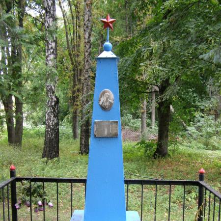 Могила рядового Николая Гришина в с. Кобыжча Бобровицкого района