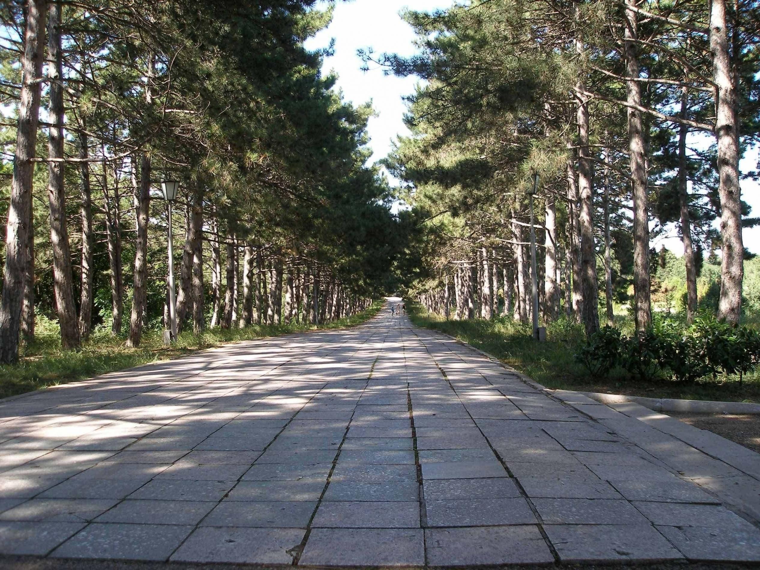 Сапун-Гора Аллея славы
