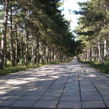 Сапун-Гора Аллея славы