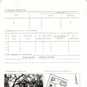 Одиночная могила на кладбище по ул. Пионерская в с. Комаровка Борзнянского района