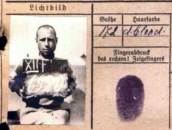 Шабанов Николай Алексеевич