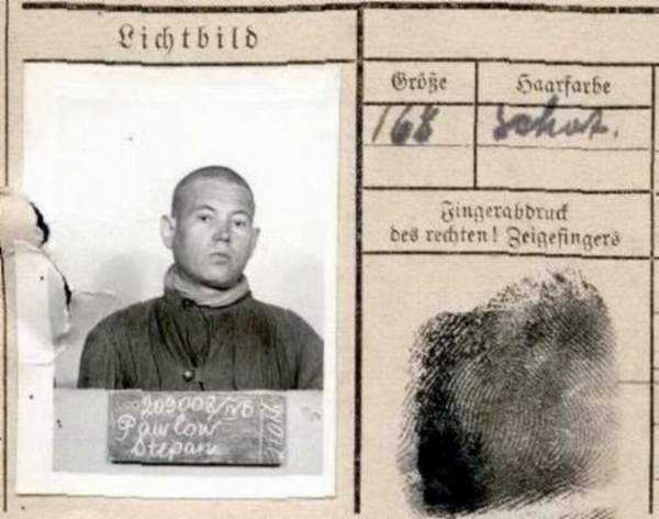 Павлов Степан Владимирович
