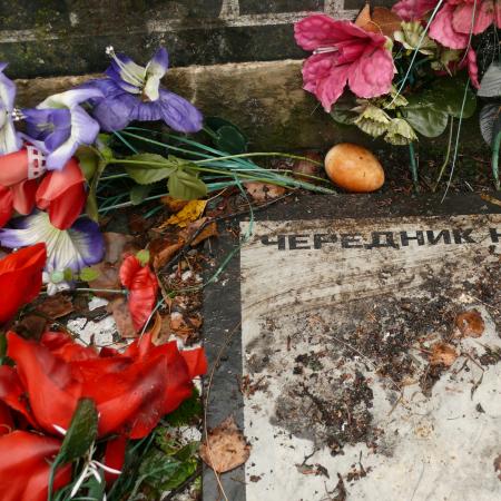 Иванковский район, село Корогод