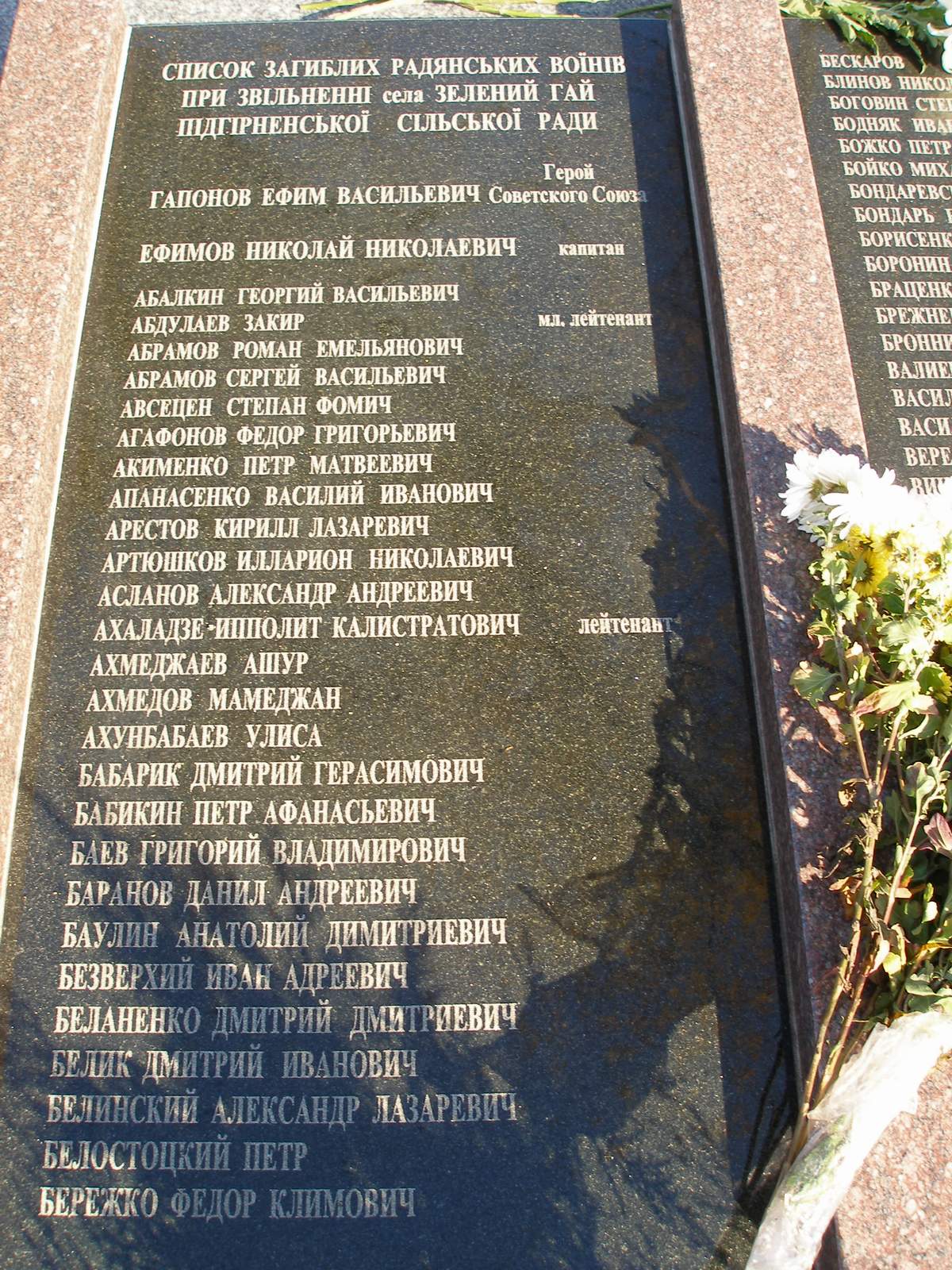 BZVas08