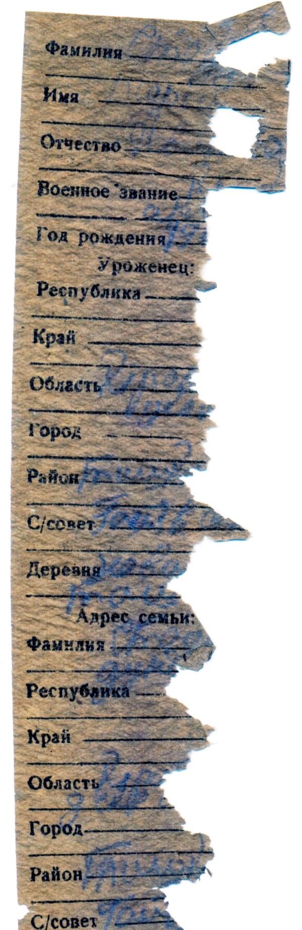 Стодух Андрей Иванович