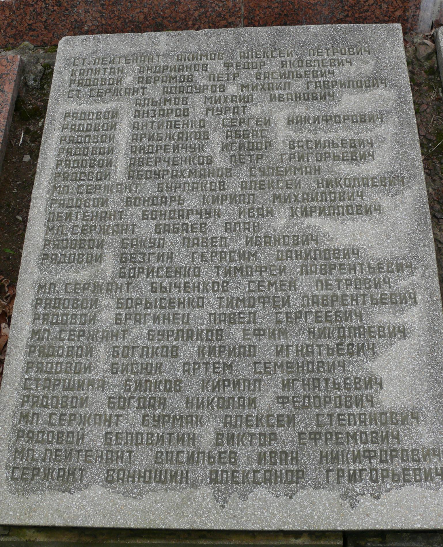 братская могила в с. Мелени Коростенского района