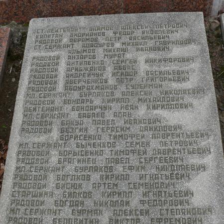 братская могила в с. Мелени Коростенского района