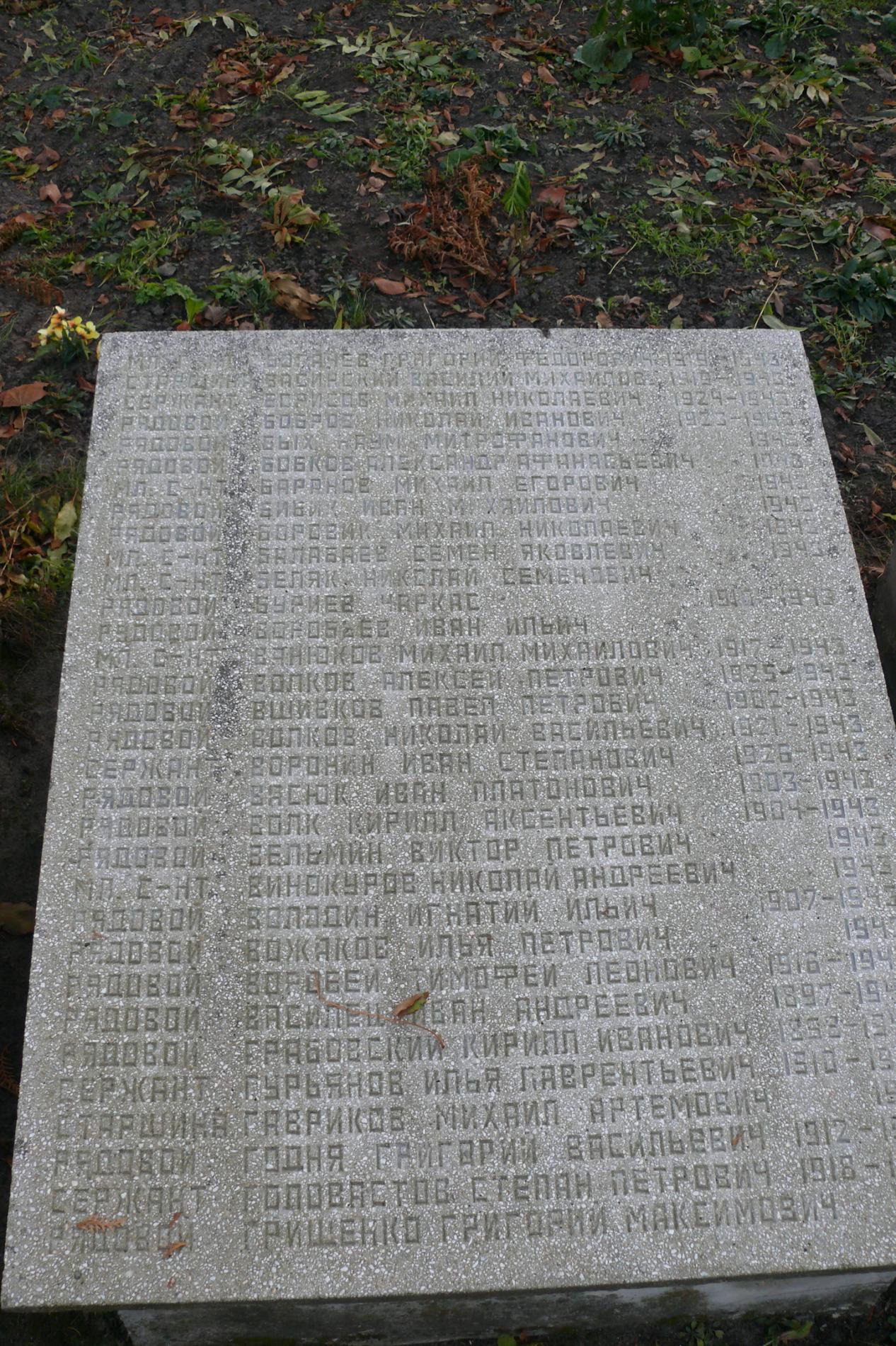 с. Чоповичи, братское воинское захоронение